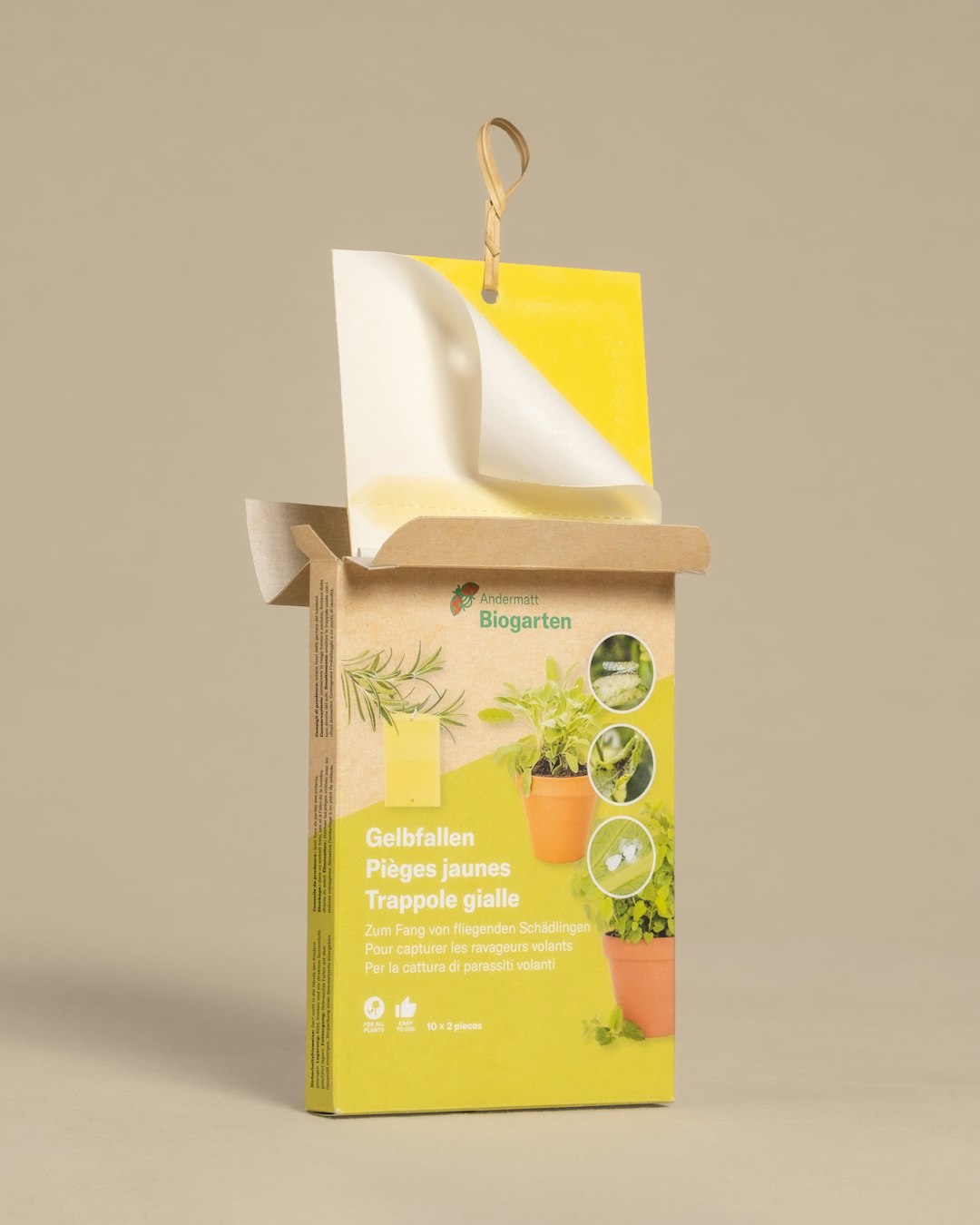 Food Containers